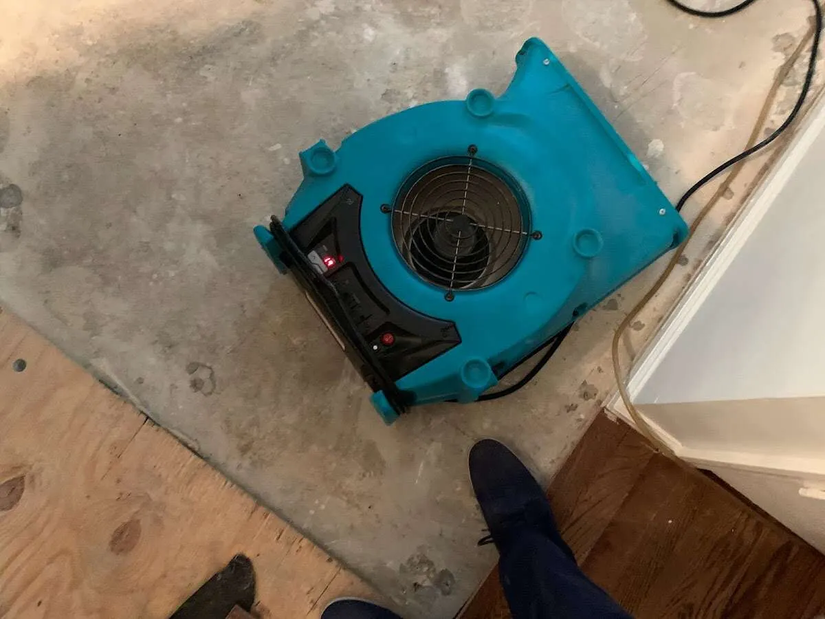 Air mover drying subfloor during Leak Detection & Repair in University Place