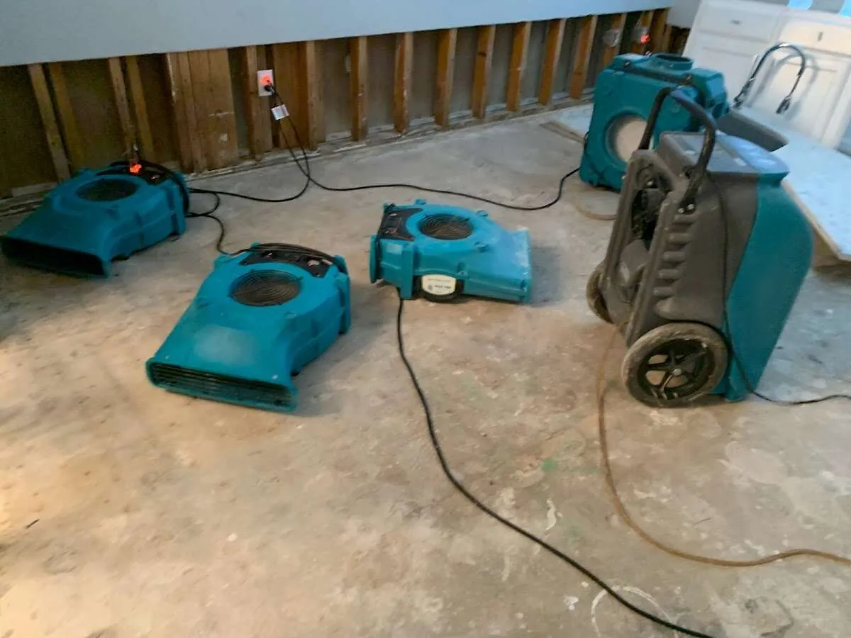 Water Damage Restoration services in University Place, WA